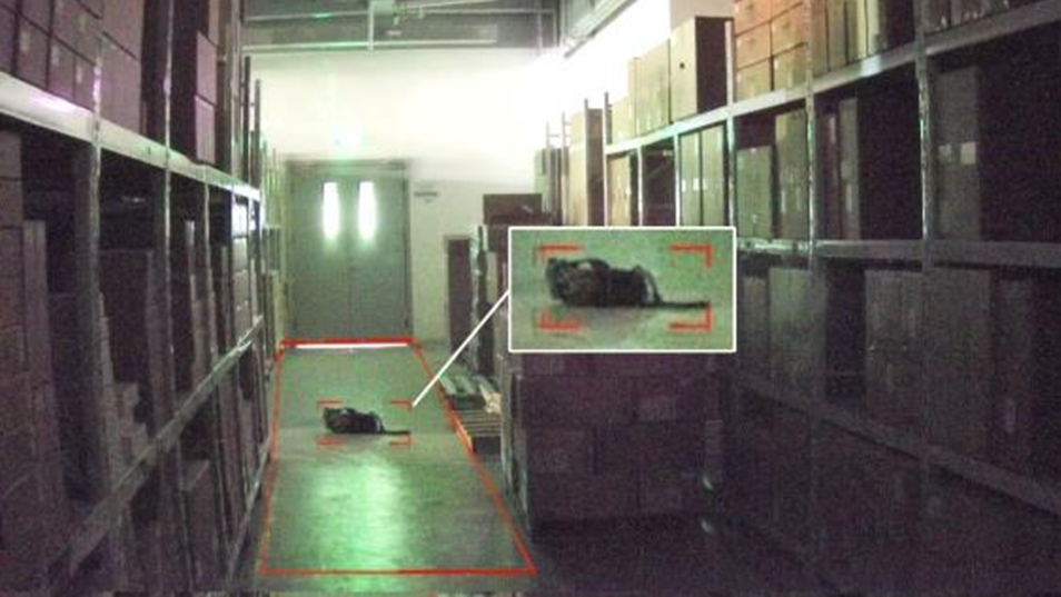 博源国际(中国)有限公司官网