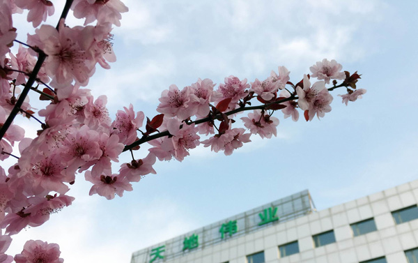 博源国际(中国)有限公司官网