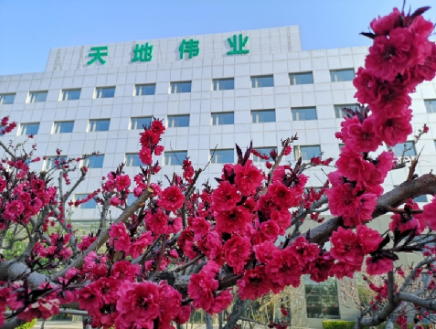 博源国际(中国)有限公司官网