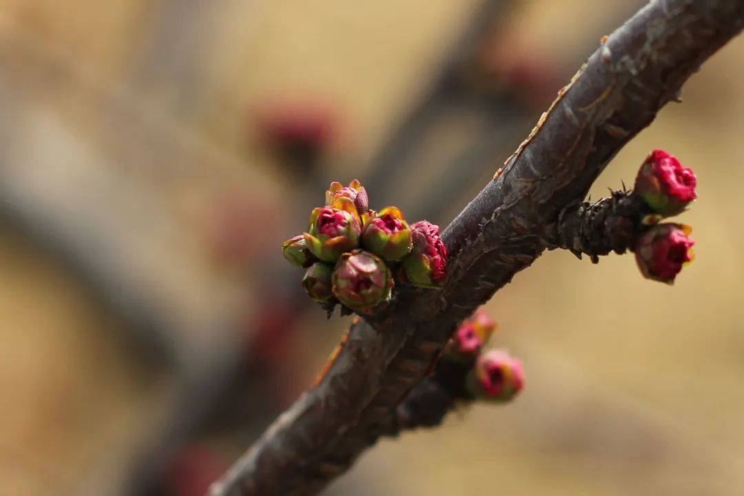 博源国际(中国)有限公司官网