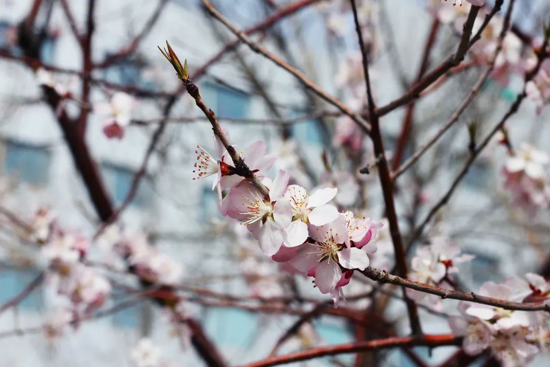 博源国际(中国)有限公司官网