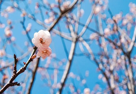 博源国际(中国)有限公司官网